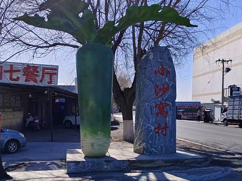 新時代非遺沙窩蘿卜：引領(lǐng)小沙窩村鄉(xiāng)村振興新篇章
