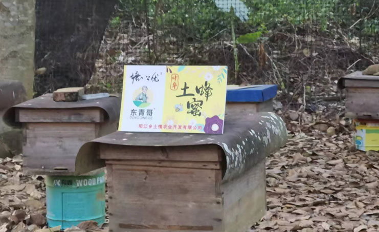 深入鄉(xiāng)村探蜜源，采訪調研促營銷