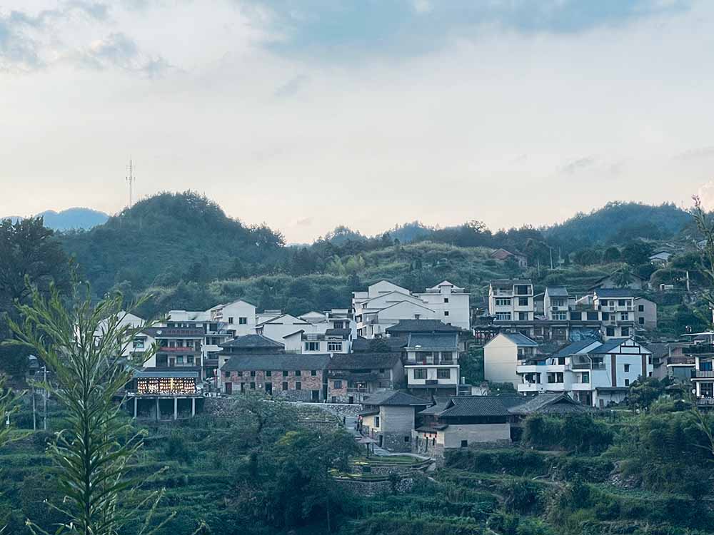 暑期社會實踐·大學生助力鄉(xiāng)村米酒，把酒賣到“云上”去