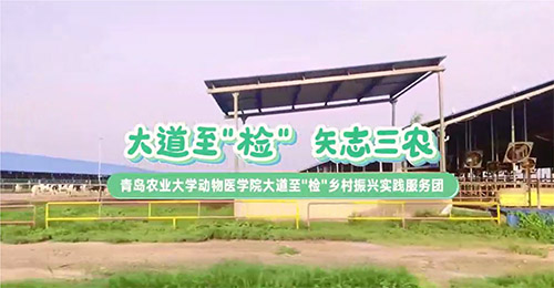 大道至簡，三農(nóng)情牽：青島農(nóng)業(yè)大學(xué)動物醫(yī)學(xué)院鄉(xiāng)村振興實踐服務(wù)團走訪養(yǎng)殖天地