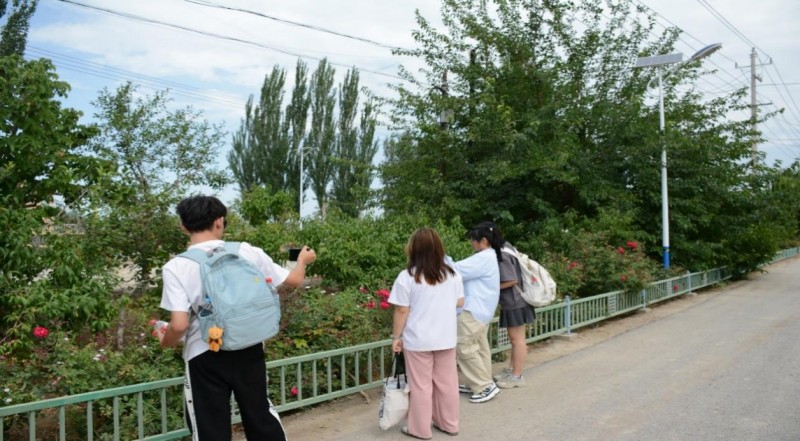 塔里木大學信息工程學院助力英買力村鄉(xiāng)村振興，拍攝宣傳點亮發(fā)展新途