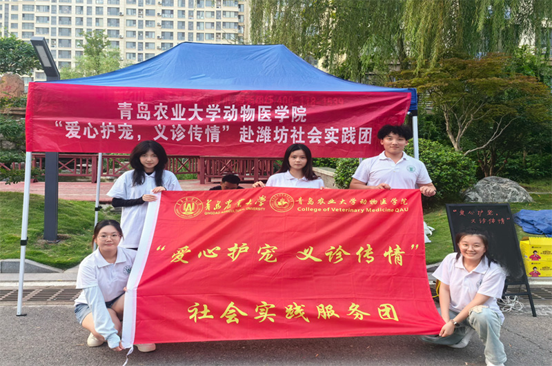 青島農(nóng)業(yè)大學(xué)“愛心護(hù)寵，義診傳情”社會(huì)實(shí)踐服務(wù)團(tuán)：攜手共筑愛寵家園 并肩共繪和諧