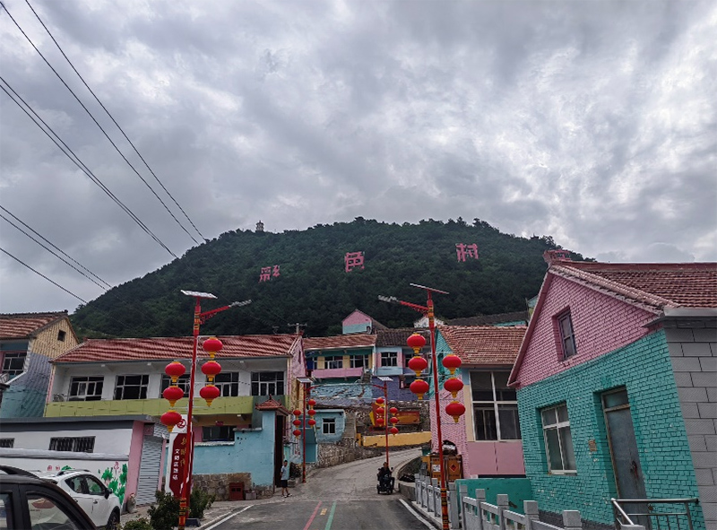七彩村莊煥發(fā)新生機(jī)，連翹產(chǎn)業(yè)助力鄉(xiāng)村振興