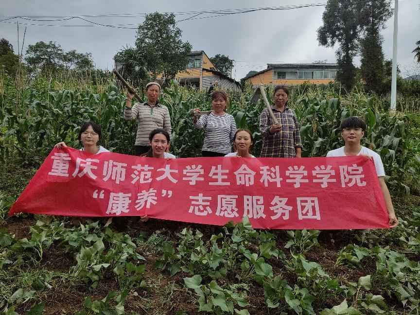 深入鄉(xiāng)村勞動(dòng)實(shí)踐，感受農(nóng)業(yè)勞動(dòng)魅力