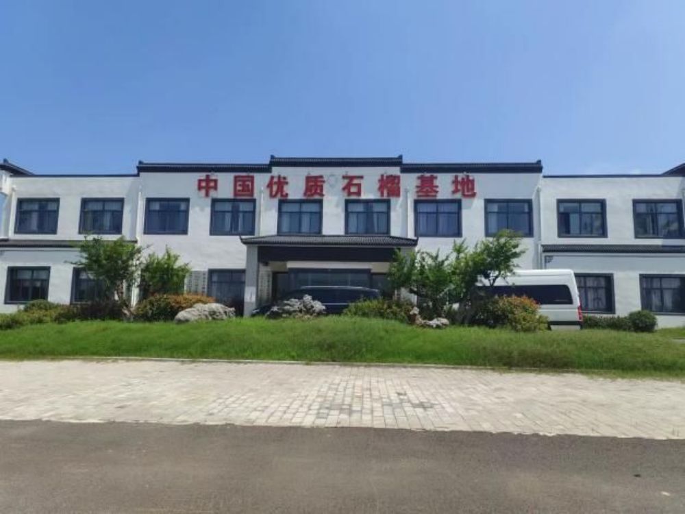 安理學(xué)子赴懷遠(yuǎn)石榴園，奏響“鄉(xiāng)村振興”進行曲