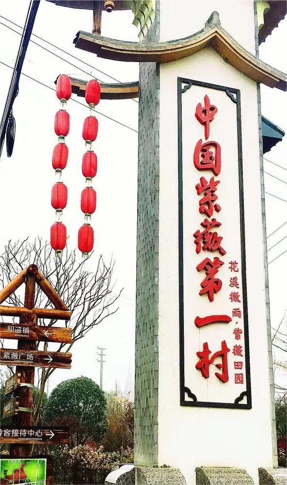 “新路”、“興路”、“心路”——以陳家渡村為例探討