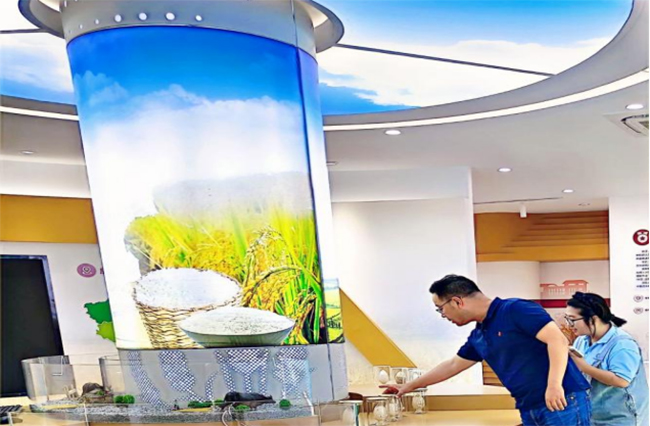 南京曉莊學院行知稻作研究團隊：深入武進水稻研究所，探尋水稻農(nóng)業(yè)科技發(fā)展之路