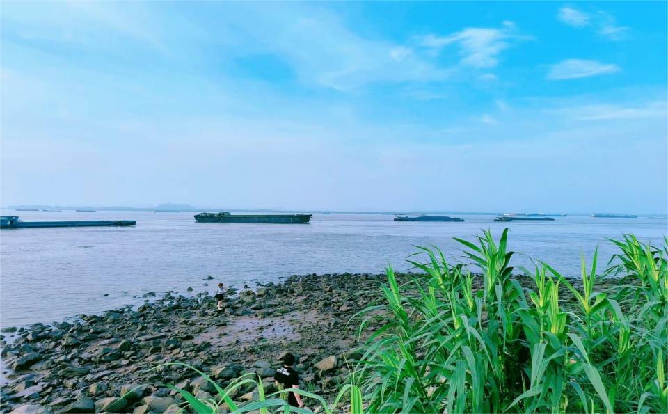 探廣陵運(yùn)河， 護(hù)綠水之美