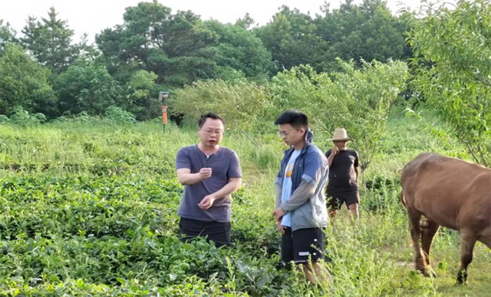 筆耕鄉(xiāng)土察民情，躬身入局謀振興