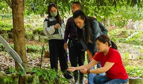 科技特派員師生團(tuán)到三葉青種植基地調(diào)研