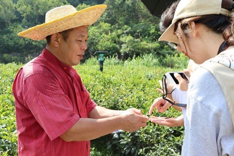 佛山科學(xué)技術(shù)學(xué)院學(xué)子三下鄉(xiāng)：走進(jìn)連南瑤縣，助力鄉(xiāng)村振興