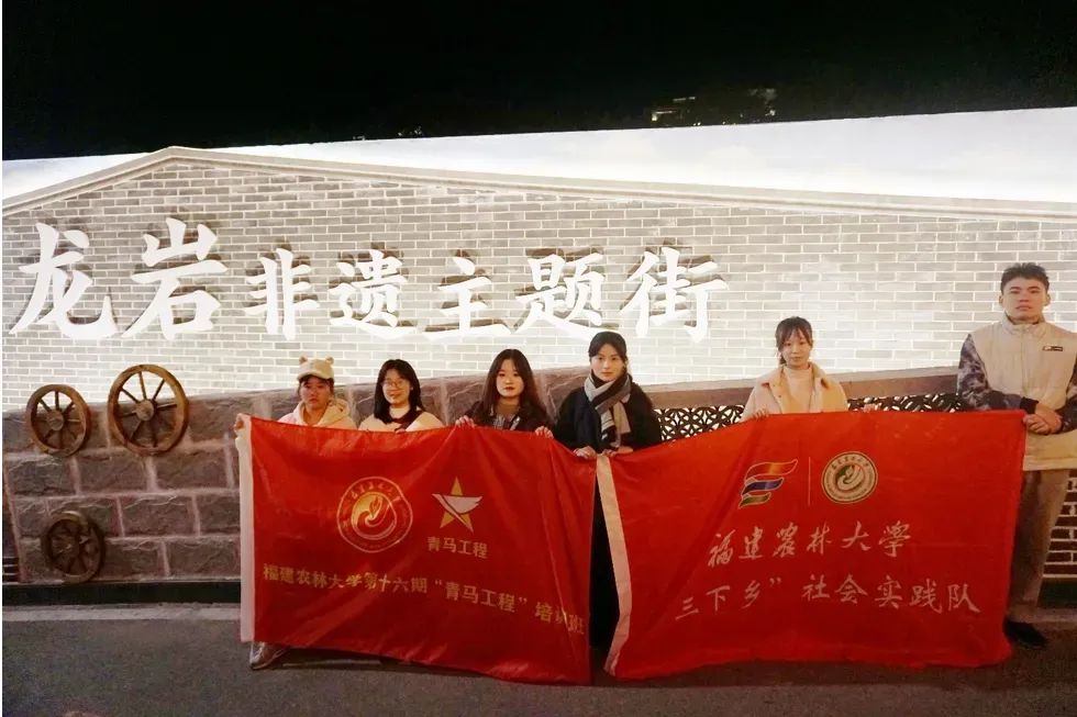 龍巖非遺文化展春節(jié)啟幕，青年學(xué)子助力文化傳承