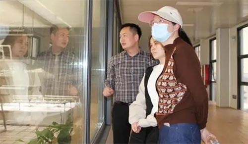 探秘“豆”文化——鄭州市金水區(qū)四月天小學(xué)社會實踐活動