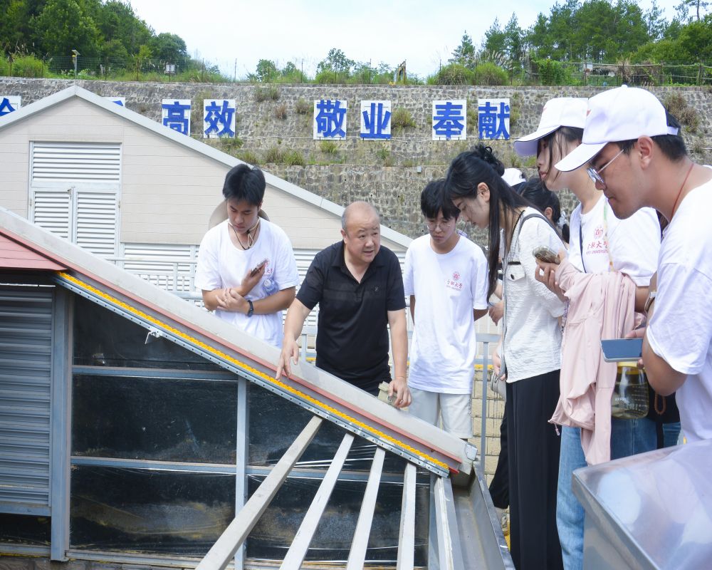 供水調(diào)研促發(fā)展，民生保障惠萬家—合肥大學(xué)“岳”動青春，遇“踐”盛夏實踐