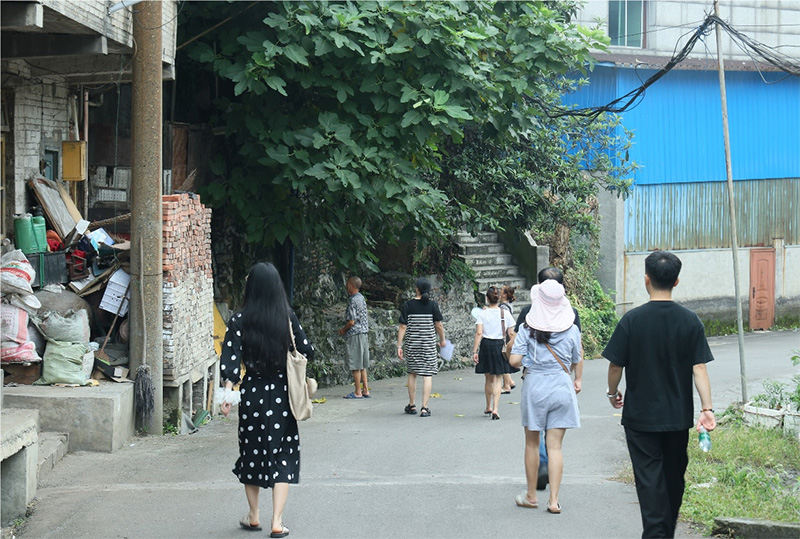 杉木樹下話振興，德田村頭繪新景——西財學(xué)子三下鄉(xiāng)調(diào)研紀(jì)實