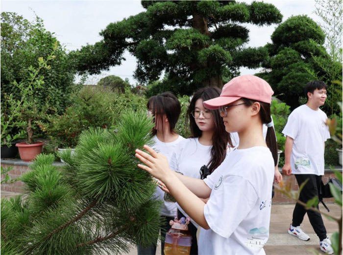 聚焦成都世園會溫江分會場，賦能非遺盆景產(chǎn)業(yè)發(fā)展