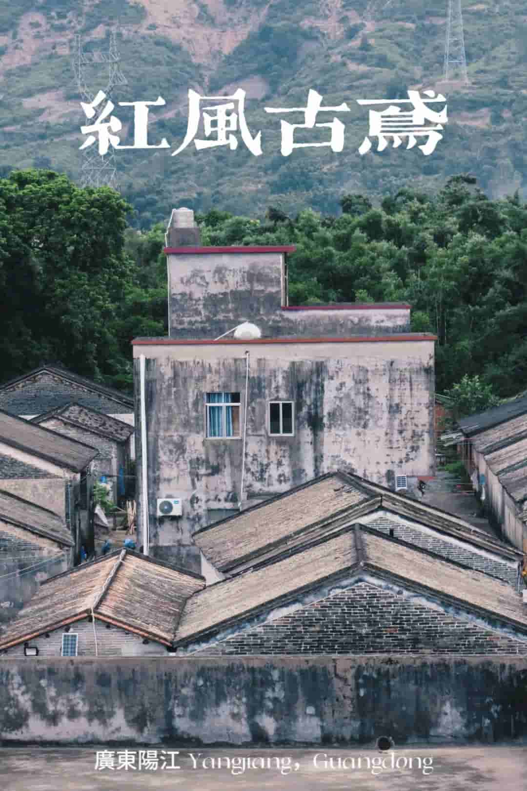 佛科院學子三下鄉(xiāng)：“紅風古鳶”實踐隊走訪鄉(xiāng)村衛(wèi)生院，深入了解村民健康情況