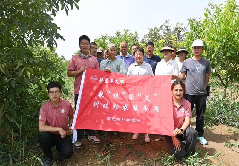 解決果農(nóng)問題，助力核桃產(chǎn)業(yè)
