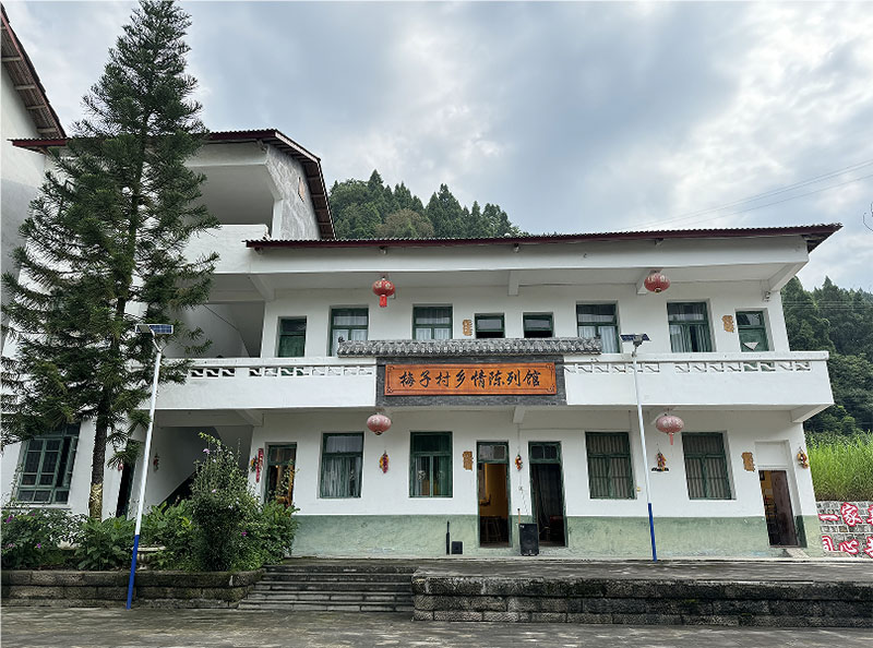 苗鄉(xiāng)古韻潤心田，紅色黨建譜華章——重慶師范大學文學院“弘文·苗韻”社會實踐紀實