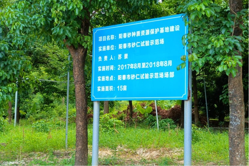 廣州新華學院三下鄉(xiāng)：砂仁藍圖繪到底 擼起袖子加油干