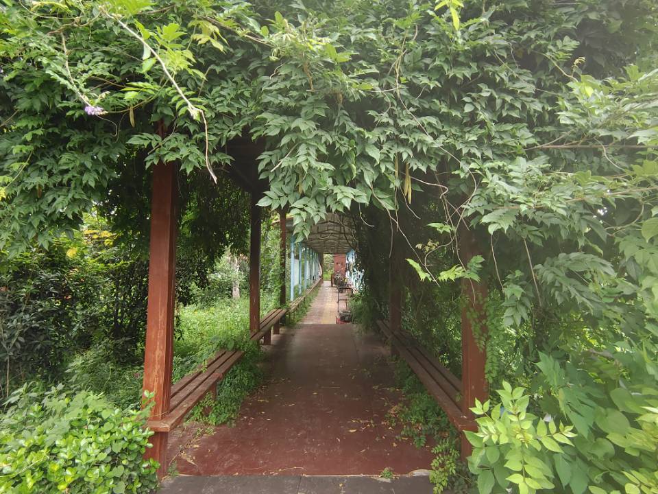 "青春的奉獻：李順雨同學暑期支教夢，點燃母校東方寄宿學校學子心"