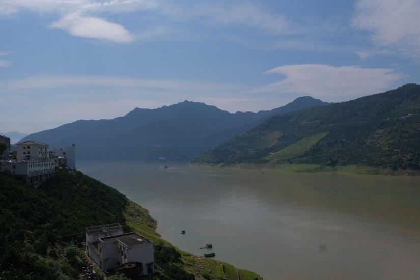 山坡上長(zhǎng)出“搖錢(qián)樹(shù)”