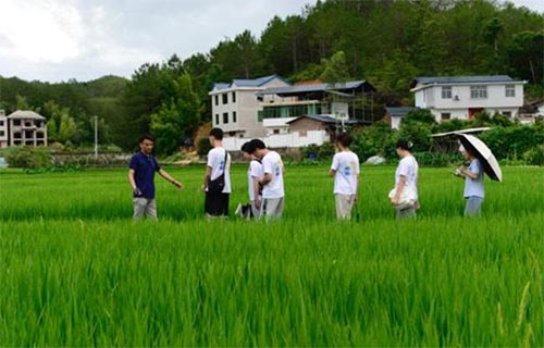 集美大學(xué)“傾潭振汀”實(shí)踐隊(duì)赴長(zhǎng)汀紅色舊址群參觀學(xué)習(xí)、南坑村實(shí)地調(diào)研