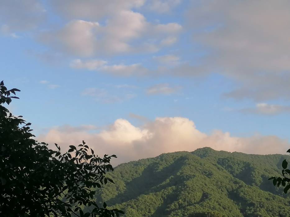穿梭千年，文物“活”在當下 ——蘇州大學(xué)“哲學(xué)+”實踐團走進天水市仙人崖石窟
