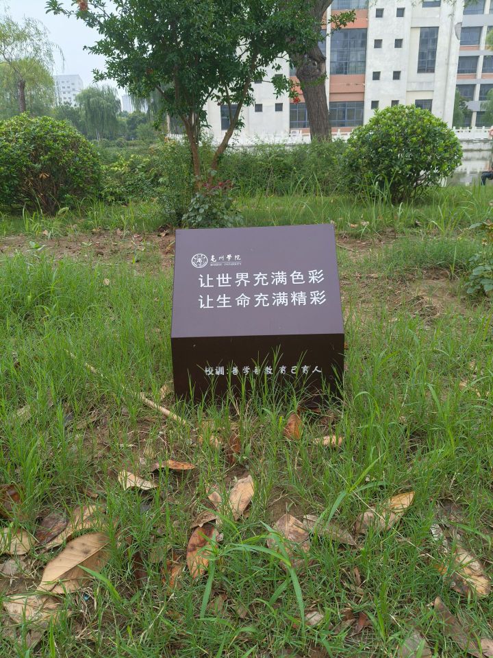巢湖學院學子三下鄉(xiāng)實踐感悟：走不通的路，就用拳頭來打開