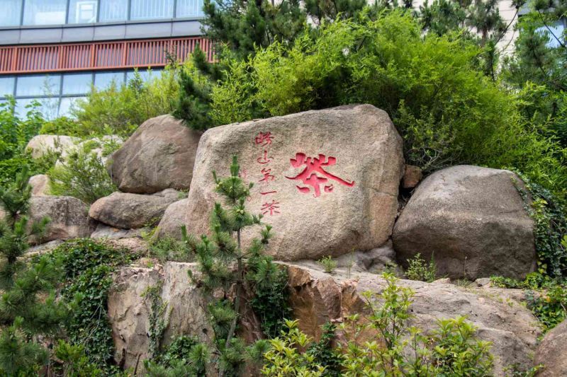 從低碳視角出發(fā)，探討鄉(xiāng)村綠色轉(zhuǎn)型之路-致遠(yuǎn)實(shí)踐隊(duì)心得體會(huì)