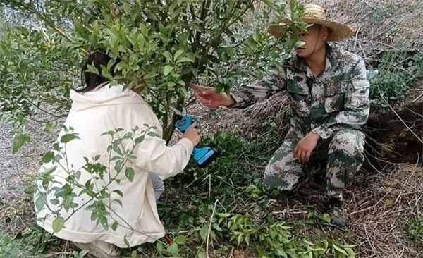 做好柑橘大文章，走好興業(yè)富民路