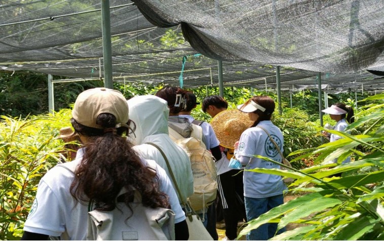 青年腳踏借鑒路，陽春砂仁香滿懷