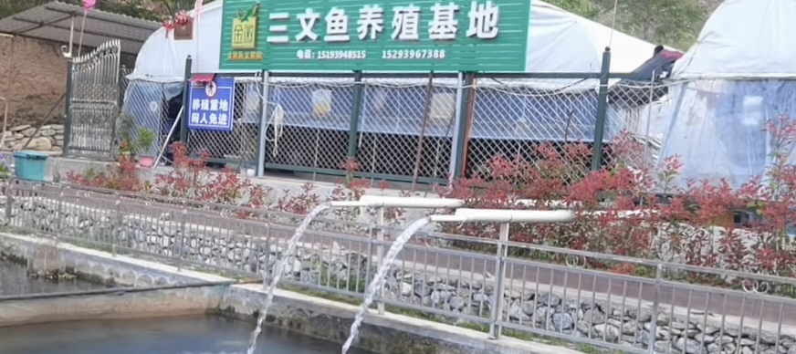 塑造甘南“特色品牌”，擴(kuò)寬群眾增收大道。
