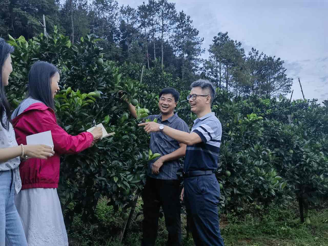 扶貧振興繪“南”圖，詩和遠(yuǎn)方伴“橙”香